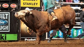 Famous WRECK: Fire & Smoke launches Cooper Davis (PBR) Net Worth