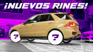 NUEVOS RINES AL TANQUE! | JUCA