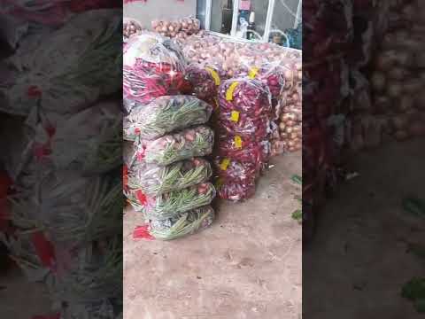 Video Nhà Xe Tím Đà Lạt Cung Cấp Tất Cả Mặt Hàng Rau Củ Qua... - youtube