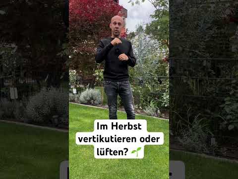 Kann ich im Herbst den Rasen vertikutieren oder lüften? shorts rasen