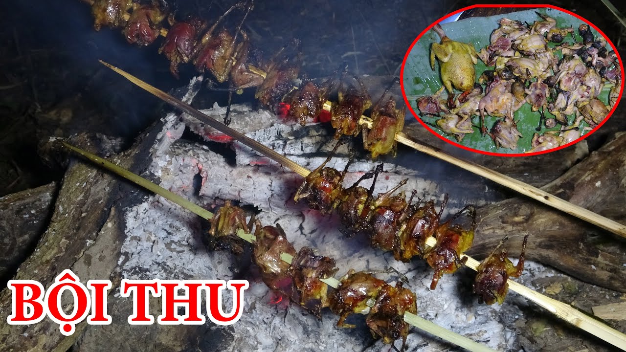 BỘI THU CHIM RỪNG BỮA CƠM GIÁ TRỊ - THỢ NÚI