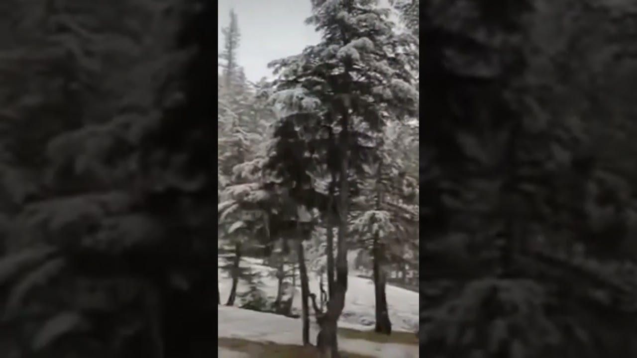 What A Lovely Weather First SnowFall in Kalam Swat. 