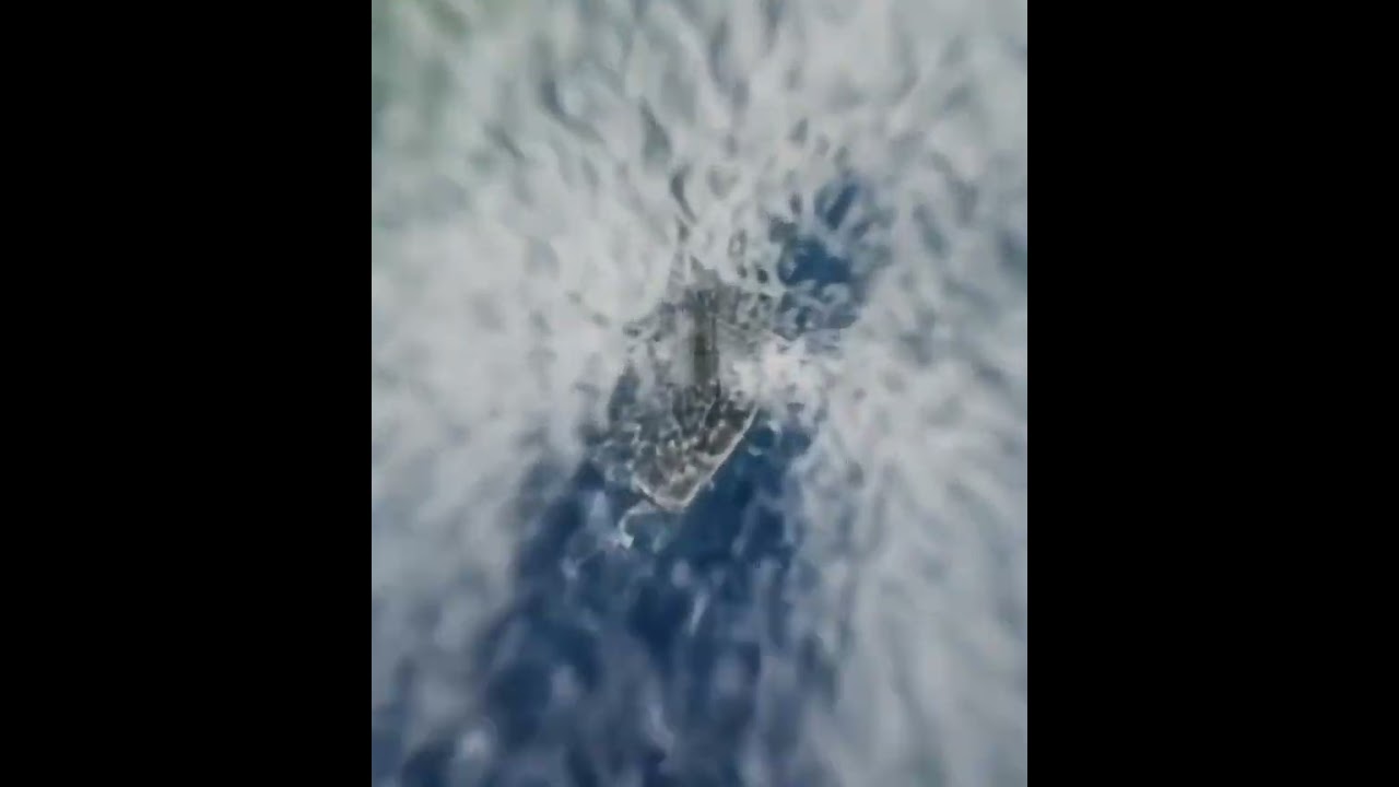 Mario Xavier 2025 07 17 07 58 47