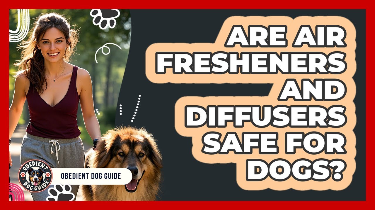 Are Air Fresheners And Diffusers Safe For Dogs?