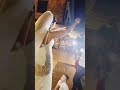 رقص العروسة بجنون على أغنية داوها في لمرسوداس