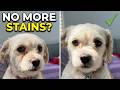Is this the safest pet eye cleaner?