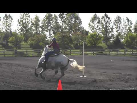 2020 10 02 Chloe's Figure 8 Stake Race - YouTube