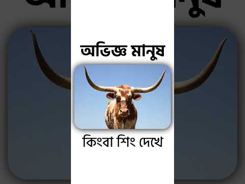 আপনি কি জানেন ChatGPT বা AI ও মাঝে মাঝে এমন বানিয়ে বানিয়ে একদম ডাহা মিথ্যা কথা বলে? 🤖