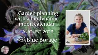 Planning your gardening tasks with a biodynamic moon calendar (August 2023) with Blue Borage