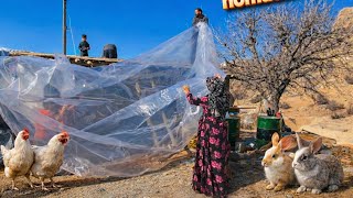 Exploring Iran's Nomadic Lifestyle: A Glimpse into 2024