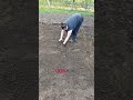 Огород 2.0. Часть 6