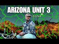 Arizona Elk Hunting Unit 3A, 3B, 3C: OTC, How to Draw, Where to Find BIG Bulls and Hunt Expectations