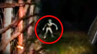 Top 5 Scary Videos That You WONT Watch ALONE!
Go to https://establishedtitles.com/SirSpooks and help support the channel. They are now running a massive Black Friday Sale, plus 10% off on any purchase with code SirSpooks. Thanks to Established Titles for sponsoring this video!
😈 JOIN MY PATREON ▶️ https://www.patreon.com/SirSpooks
👻 TWITTER ▶️ https://twitter.com/TheSirSpooks
👽 INSTAGRAM ▶️ https://www.instagram.com/thesirspooks/
👹 DISCORD ▶️ https://discord.gg/3WfaHq7PsW
🕷️ MERCH ▶️ https://www.bonfire.com/sirspooks/
☠️ r/SIRSPOOKS ▶️ https://www.reddit.com/r/SirSpooks/
📹 SCARY VIDEOS Playlist ▶️ https://www.youtube.com/playlist?list=PLTamjWLVpbggF-p c3 oT53bajNR0P6
⬇️ SOURCES ⬇️
5. https://www.reddit.com/r/HighStrangeness/comments/yuhepn/this_was_in_my_old_apartment_cam_footage_from/
4. https://www.tiktok.com/@jennimikaela/video/7164202518799568133
3. https://www.reddit.com/r/Ghosts/comments/yxyfyv/visit_from_pops_at_his_memorial_celebration_oc/?sort=top
2. https://www.reddit.com/r/HighStrangeness/comments/yu1c3n/keep_coming_across_videos_like_these_lately/?sort=top
1. https://www.reddit.com/r/HighStrangeness/comments/ywjn6j/guard_welcomes_invisible_guest_at_3am_finochietto/?sort=top
🎵 Music by REPULSIVE ▶️ https://www.youtube.com/c/REPULSIVEMUSIC
CO.AG Music ▶️ https://www.youtube.com/channel/UCcavSftXHgxLBWwLDm_bNvA
🎵 Production Music courtesy of ▶️ www.epidemicsound.com
⬇️ TIMESTAMPS ⬇️
0:00 - Intro
0:21 - 5
2:19 - Established Titles
4:40 - 4
6:30 - 3
8:15 - 2
10:30 - 1
12:21 - Outro
For copyright matters or business enquiries, please contact me: sirspooksbusiness@gmail.com Top 5 Scary Videos That You WONT Watch ALONE!