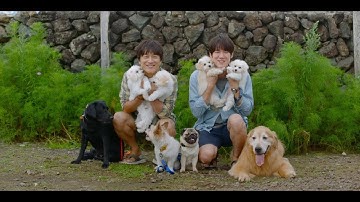 8匹の「く〜ん」に胸キュン映画『マイ・ハート・パピー』本予告