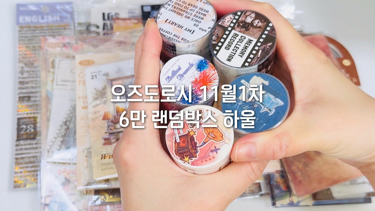 [내돈내산#하울] 오즈도로시 11월 6만 랜덤박스 하울