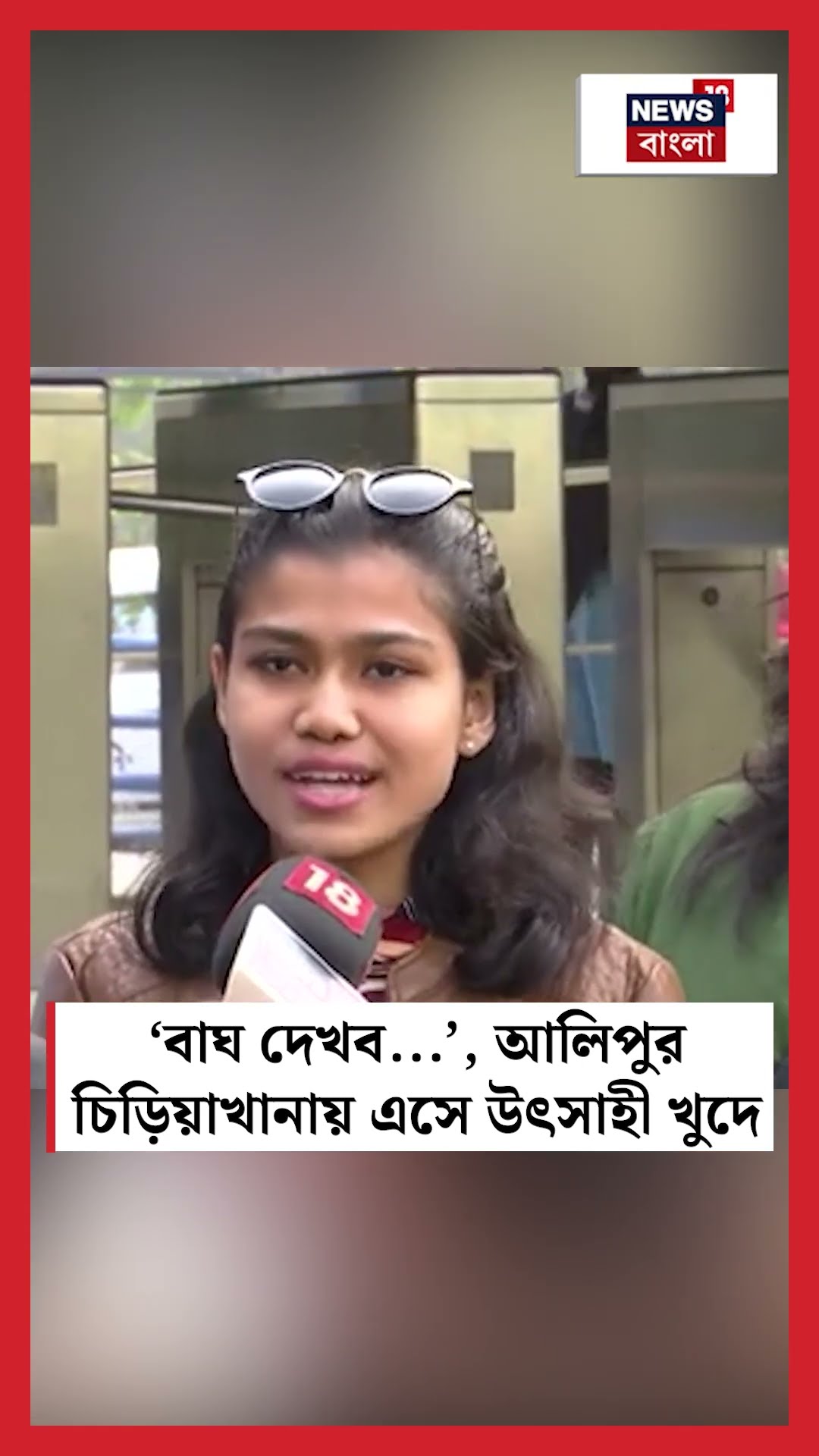'বাঘ দেখব...', Alipore Zoo তে এসে উৎসাহী খুদে #shorts