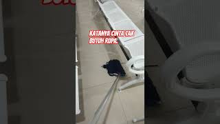 Download Lagu KATANYA CINTA TAK BUTUH RUPA. MP3