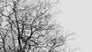 Quiescent Snowdrops - Cecilia Dymling screenshot 1