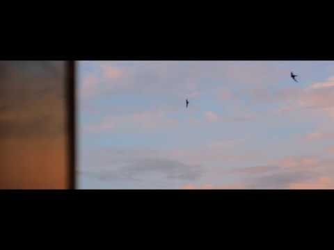 FuLA - გათენებას გავხარ