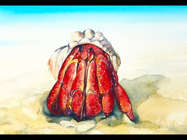 Hermit Crab Watercolor Painting Tutorial