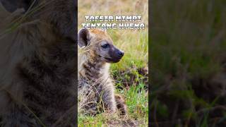 tafsir mimpi tentang hyena #youtubeshorts #shortvideo #viral #tafsirmimpi #hyena