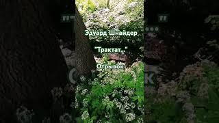 "Трактат..." (отрывок) Эдуард Шнайдер. Читает: автор. (#стихи/ Книга-5 "Осколки...")#shorts