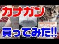 猫 【餌 食べる】カナガンを買ってみた