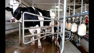 795 GermSensor Technical Video NSF I-Corps