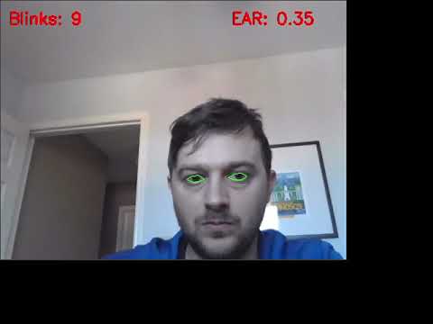 Eye blink detection demo