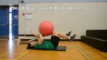 Fit Video Model: Dead Bugs with Ball (Knees)