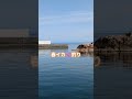 春イカ🦑釣り
