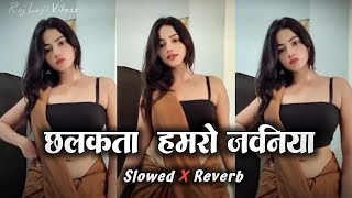 Chhalakata Hamro Jawaniya🎧 || Slowed & Reverb || Instagram Trending bhojpuri song || Raj Vibezz