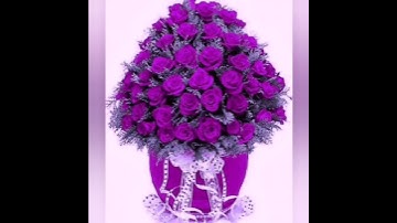 سورة الفاتحة تلاوه رائعه للقارئ عبدالباسط عبدالصمد رحمه الله