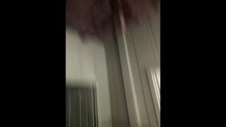 Was This A Ghost At The Elkmont Ghost Town? Gatlinburg, Tn