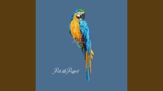 Pete the Parrot