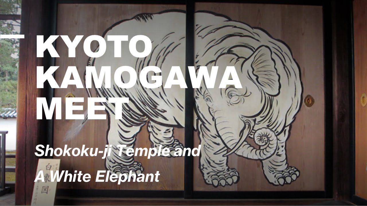 #55 Kyoto Travel Guide 2024 White Elephant and Shokoku-ji Temple