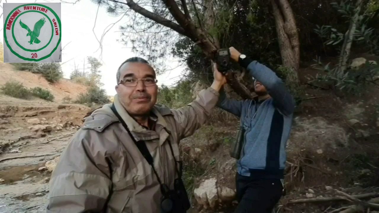 سعيدة بعيدة - منطقة العش - العين البيضاء