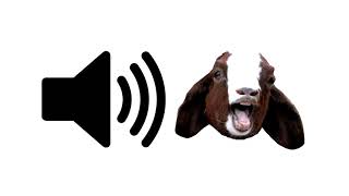 Download Lagu Goat Scream (Funny) - Sound Effect | ProSounds MP3