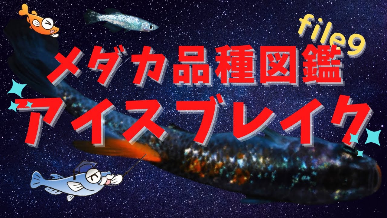 【偽物には要注意‼】話題のアイスブレイク‼さっそく偽物も出回っていますね。この動画で特徴はバッチリ!?