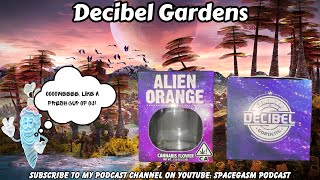 DECIBEL GARDENS STRAIN REVIEW:Alien Orange (🧑‍🚀👽🍊) This One Is For The Citrus Lovers!