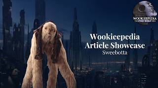 The Showcase - Sweebotta