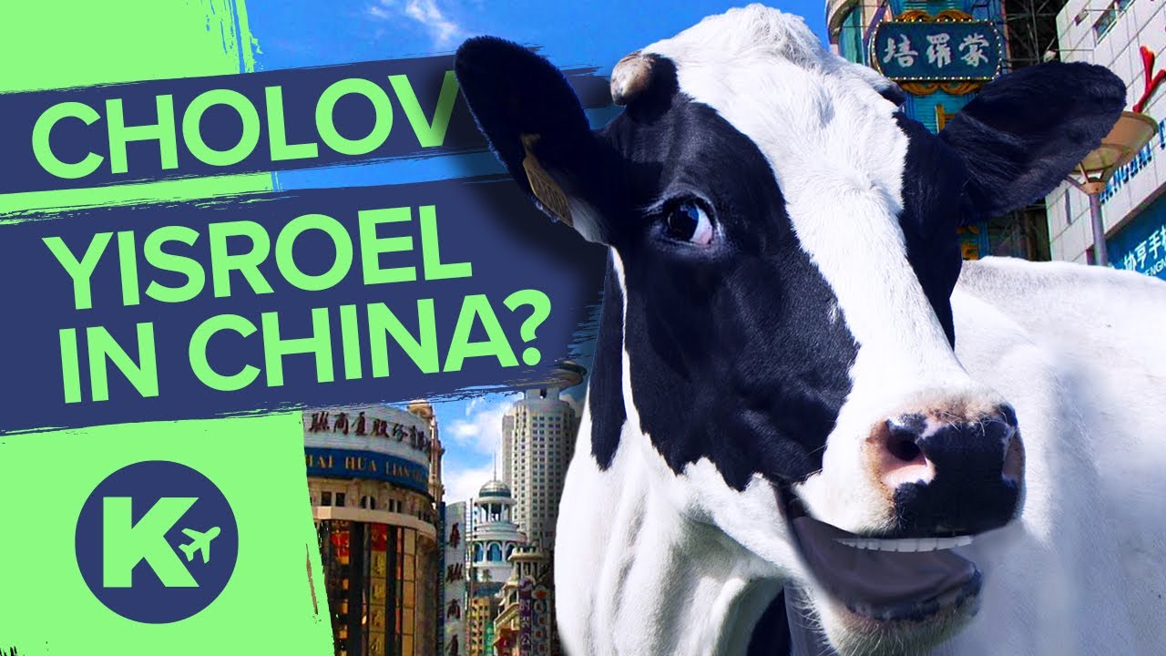 is-starbucks-in-china-kosher-cholov-stam-kosher-without-borders