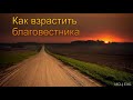 "Как взрастить благовестника". П. Г. Костюченко. МСЦ ЕХБ.