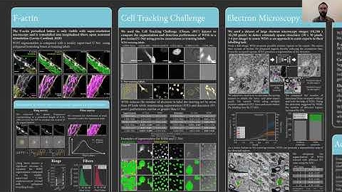 MAIS Poster 68: Weakly supervised learning for semantic segmentation of microscopy images