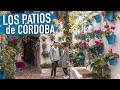 LOS PATIOS DE CÓRDOBA | CÓRDOBA VLOG 3