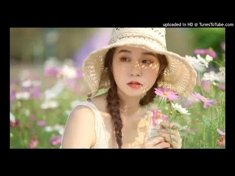 《陪你千山萬水》樊少華&唐薇
