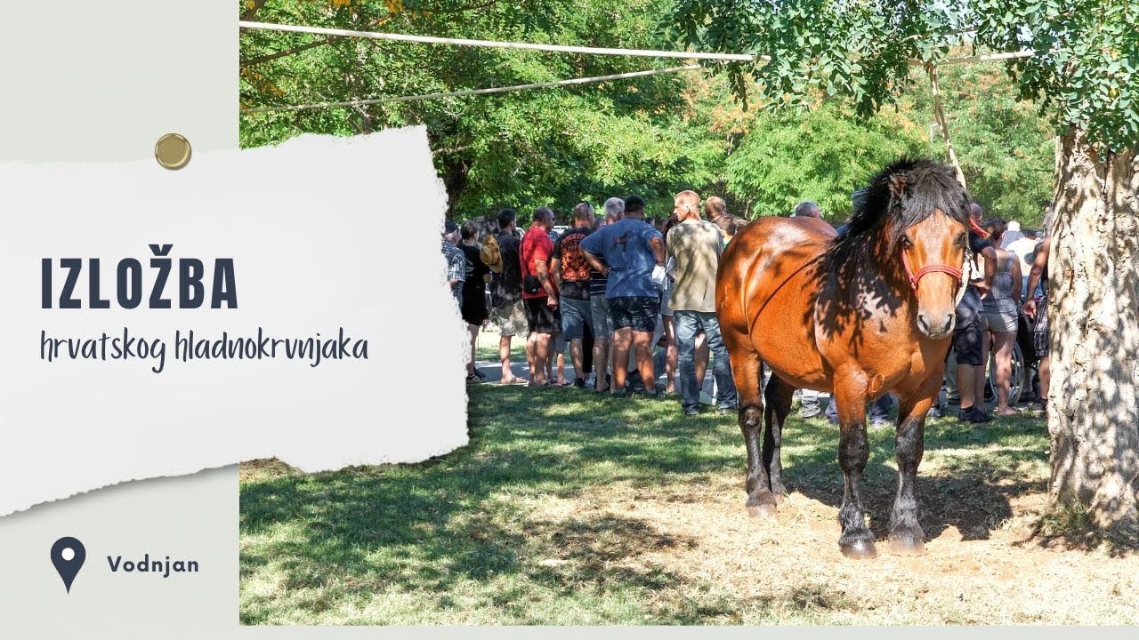Jubilarna izložba hrvatskog hladnokrvnjaka u Vodnjanu