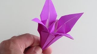 Origami Iris (Lily version 2)