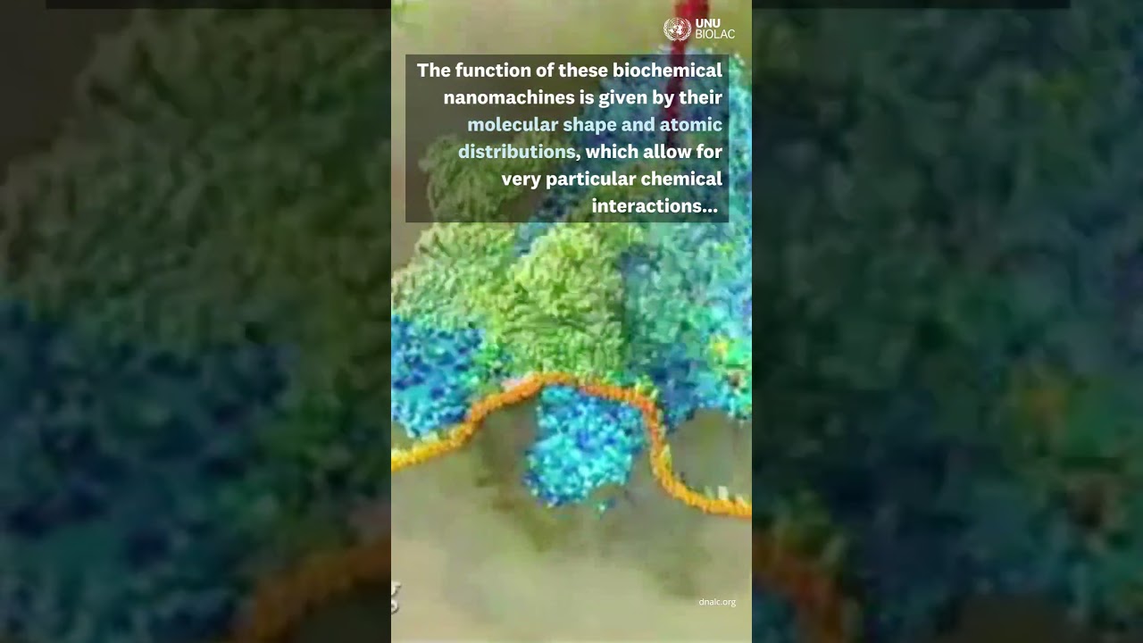 6 UNU-BIOLAC fellows are creating new proteins in 2025!