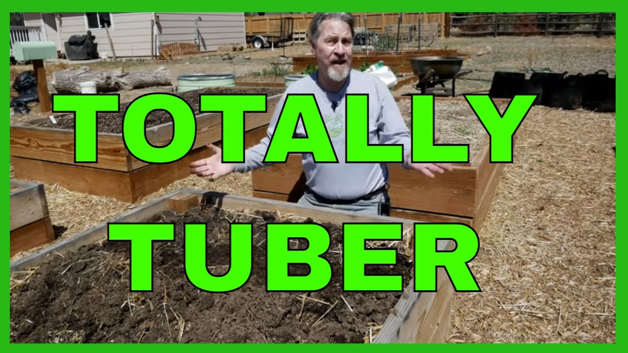 How to Plant Potatoes (Complete Guide) - YouTube